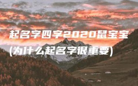 起名字四字2020鼠宝宝(为什么起名字很重要)