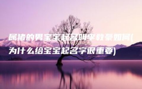 属猪的男宝宝起名叫李教豪如何(为什么给宝宝起名字很重要)