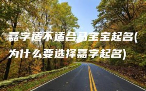 嘉字适不适合马宝宝起名(为什么要选择嘉字起名)