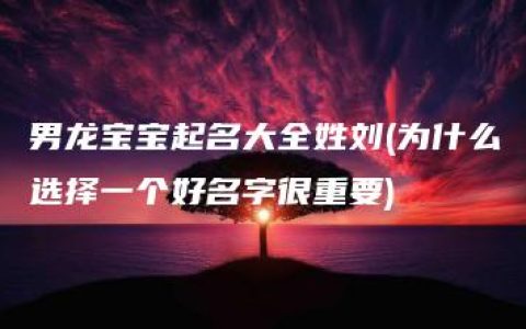 男龙宝宝起名大全姓刘(为什么选择一个好名字很重要)