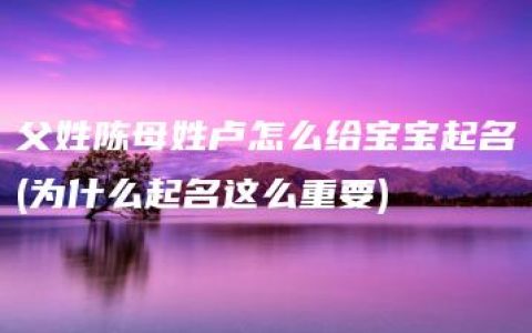 父姓陈母姓卢怎么给宝宝起名(为什么起名这么重要)