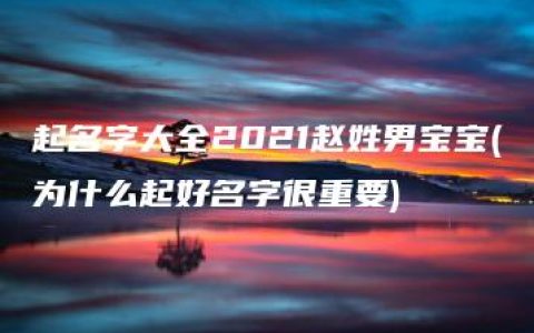 起名字大全2021赵姓男宝宝(为什么起好名字很重要)