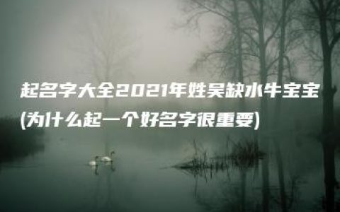 起名字大全2021年姓吴缺水牛宝宝(为什么起一个好名字很重要)