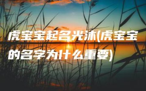 虎宝宝起名光沐(虎宝宝的名字为什么重要)