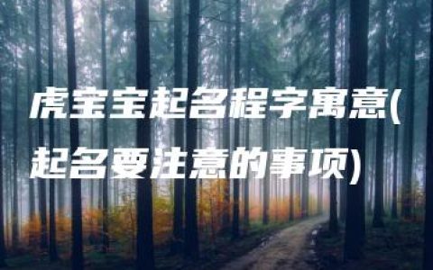 虎宝宝起名程字寓意(起名要注意的事项)