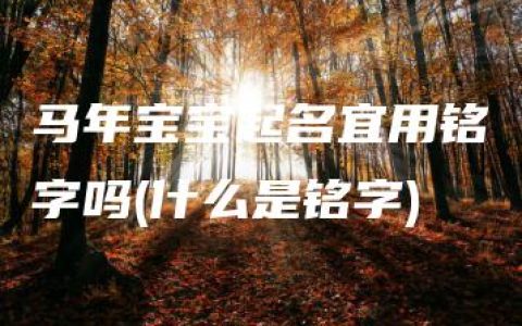 马年宝宝起名宜用铭字吗(什么是铭字)