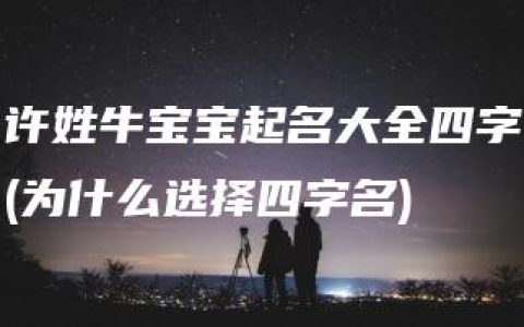 许姓牛宝宝起名大全四字(为什么选择四字名)