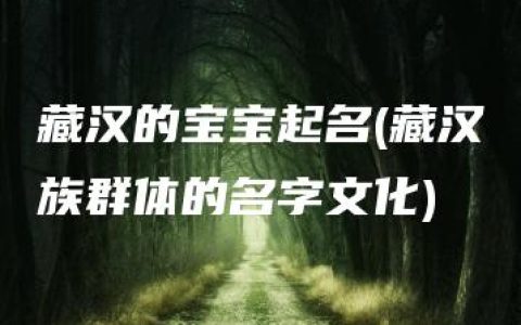 藏汉的宝宝起名(藏汉族群体的名字文化)