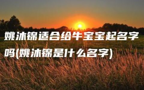 姚沐锦适合给牛宝宝起名字吗(姚沐锦是什么名字)