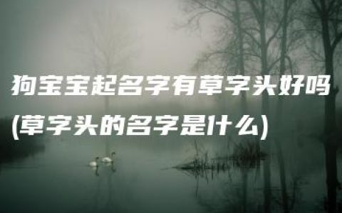 狗宝宝起名字有草字头好吗(草字头的名字是什么)