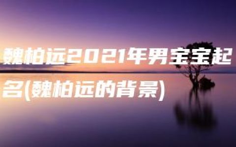 魏柏远2021年男宝宝起名(魏柏远的背景)