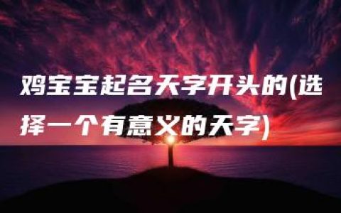 鸡宝宝起名天字开头的(选择一个有意义的天字)