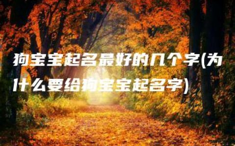 狗宝宝起名最好的几个字(为什么要给狗宝宝起名字)