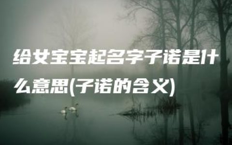 给女宝宝起名字子诺是什么意思(子诺的含义)