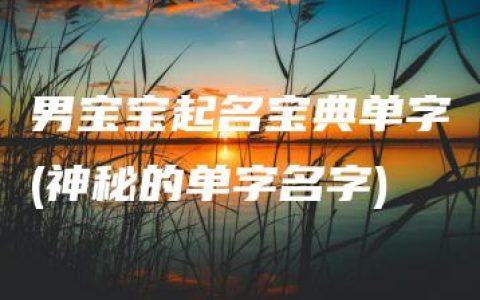 男宝宝起名宝典单字(神秘的单字名字)