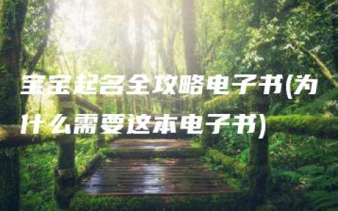 宝宝起名全攻略电子书(为什么需要这本电子书)