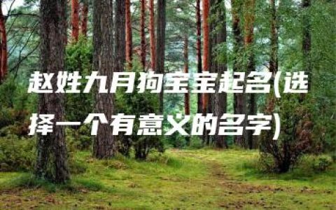 赵姓九月狗宝宝起名(选择一个有意义的名字)