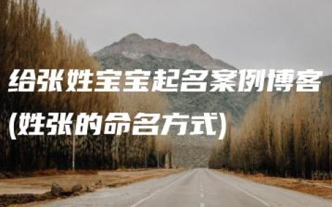 给张姓宝宝起名案例博客(姓张的命名方式)