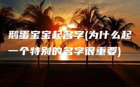 鹅蛋宝宝起名字(为什么起一个特别的名字很重要)