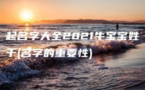 起名字大全2021牛宝宝姓于(名字的重要性)