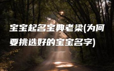 宝宝起名宝典老梁(为何要挑选好的宝宝名字)