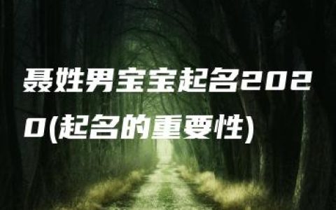 聂姓男宝宝起名2020(起名的重要性)