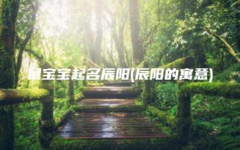 鼠宝宝起名辰阳(辰阳的寓意)