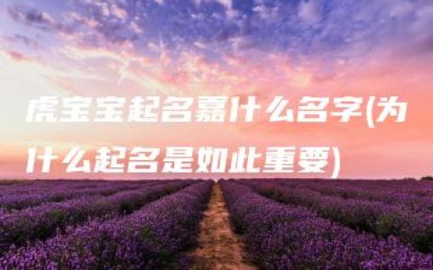 虎宝宝起名嘉什么名字(为什么起名是如此重要)