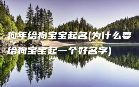 狗年给狗宝宝起名(为什么要给狗宝宝起一个好名字)