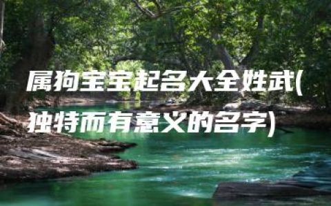 属狗宝宝起名大全姓武(独特而有意义的名字)