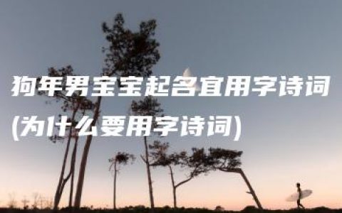 狗年男宝宝起名宜用字诗词(为什么要用字诗词)