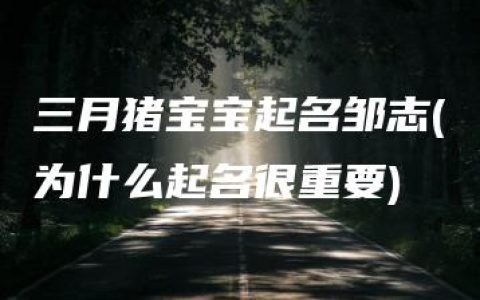 三月猪宝宝起名邹志(为什么起名很重要)