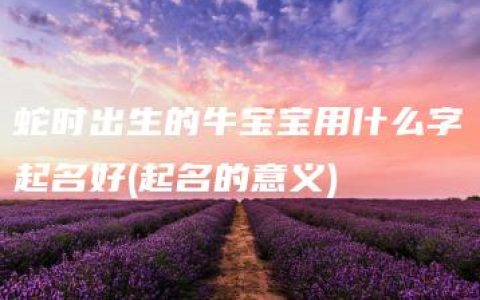 蛇时出生的牛宝宝用什么字起名好(起名的意义)