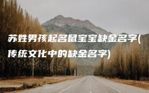 苏姓男孩起名鼠宝宝缺金名字(传统文化中的缺金名字)