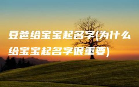 豆爸给宝宝起名字(为什么给宝宝起名字很重要)