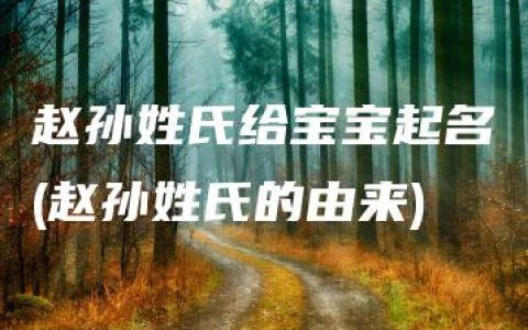 赵孙姓氏给宝宝起名(赵孙姓氏的由来)