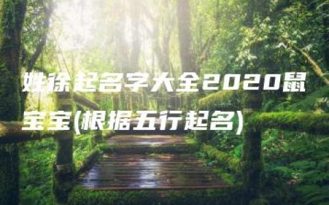 姓徐起名字大全2020鼠宝宝(根据五行起名)