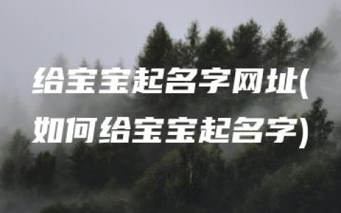 给宝宝起名字网址(如何给宝宝起名字)