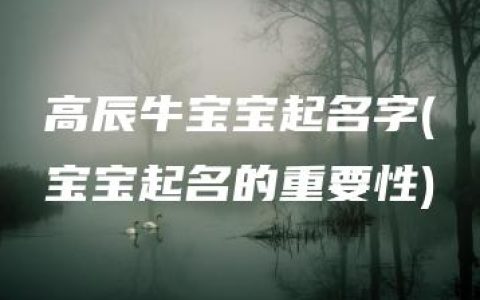 高辰牛宝宝起名字(宝宝起名的重要性)