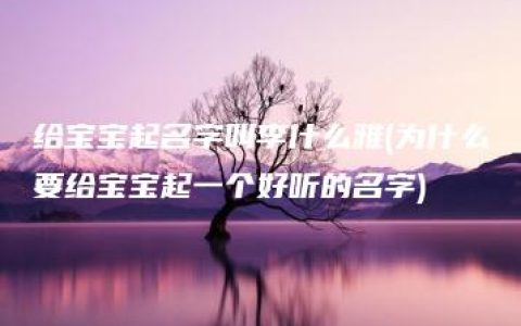 给宝宝起名字叫李什么雅(为什么要给宝宝起一个好听的名字)