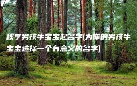 秋季男孩牛宝宝起名字(为你的男孩牛宝宝选择一个有意义的名字)