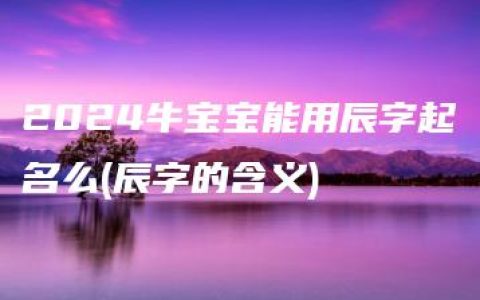 2024牛宝宝能用辰字起名么(辰字的含义)