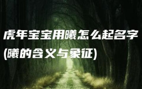 虎年宝宝用曦怎么起名字(曦的含义与象征)