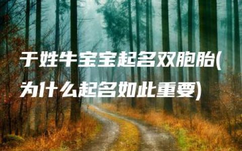 于姓牛宝宝起名双胞胎(为什么起名如此重要)