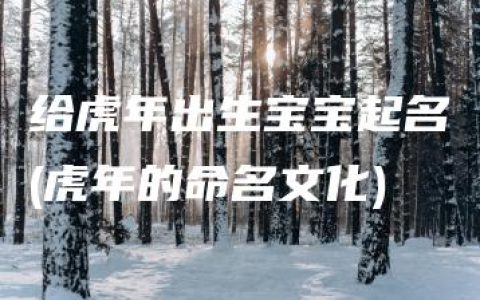 给虎年出生宝宝起名(虎年的命名文化)