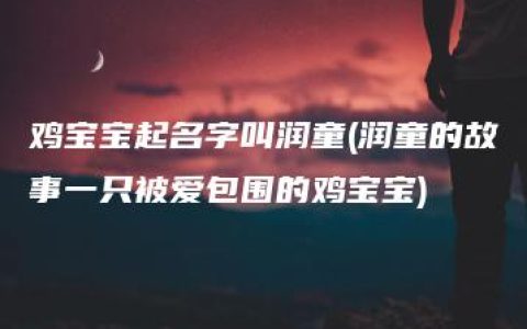 鸡宝宝起名字叫润童(润童的故事一只被爱包围的鸡宝宝)