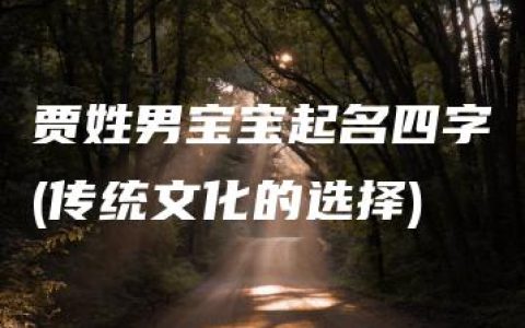 贾姓男宝宝起名四字(传统文化的选择)