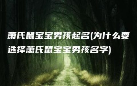 萧氏鼠宝宝男孩起名(为什么要选择萧氏鼠宝宝男孩名字)