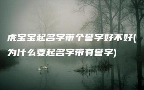 虎宝宝起名字带个誉字好不好(为什么要起名字带有誉字)