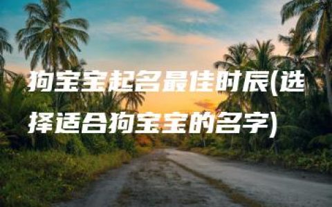 狗宝宝起名最佳时辰(选择适合狗宝宝的名字)